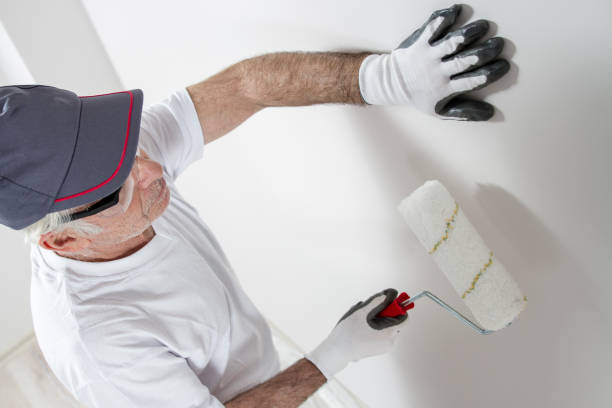 Mold Odor Removal Services in Osceola, MO