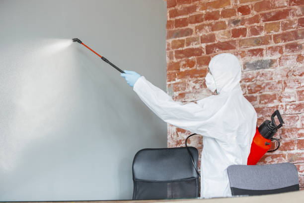 Mold Removal for HVAC Installations in Osceola, MO