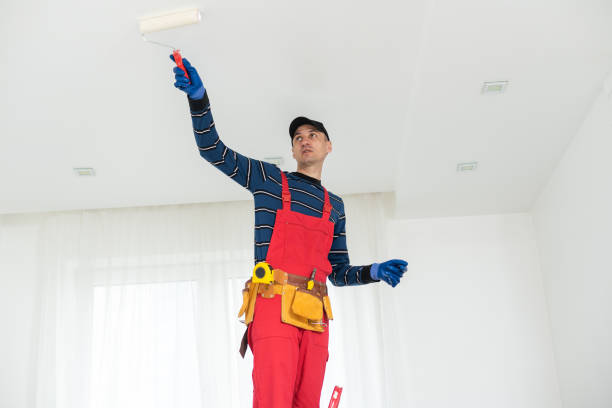 Osceola, MO Mold Removal Company
