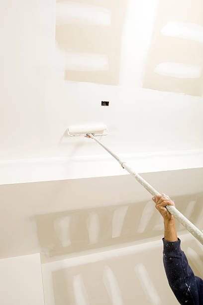 Best Mold Damage Restoration  in Osceola, MO