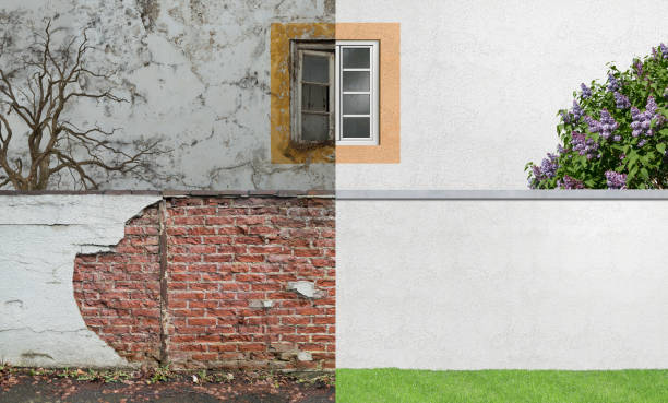 Best Basement Mold Removal  in Osceola, MO